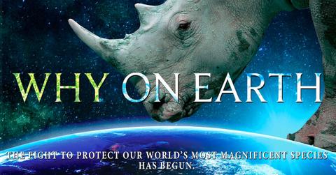 Why on Earth Documentary