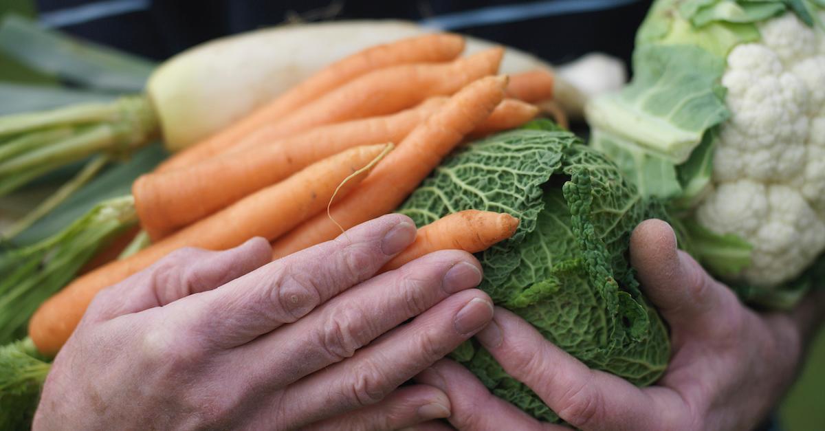 Veggie Saver bag fights food waste - Produce Blue Book