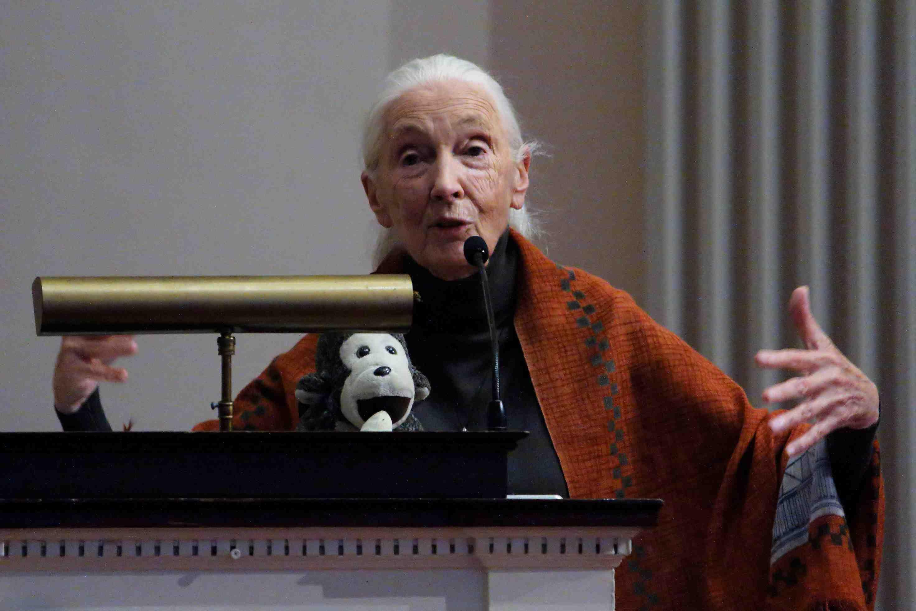 Jane Goodall speaks at an event at University of Marylan in October 2022.