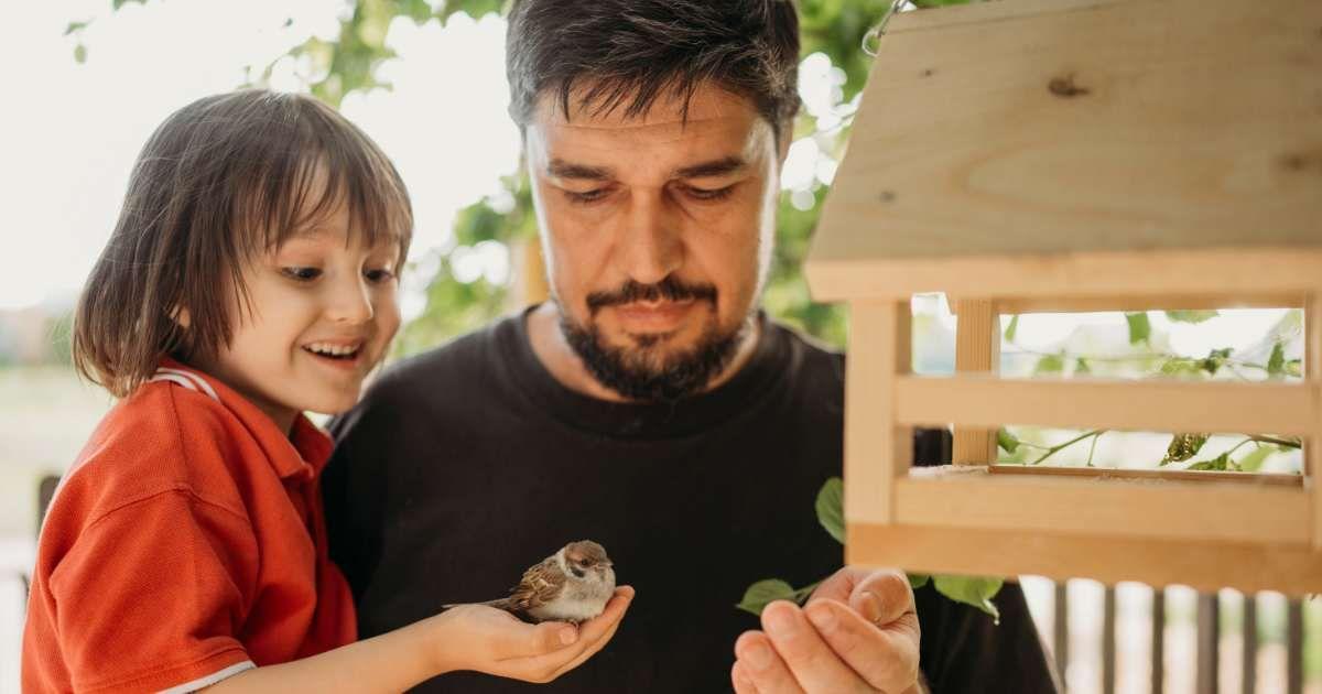 A little boy in his dad's arms holding a sparrow that visited his bird feeder. (Representative Cover Image Source: Getty Images | Westend61)