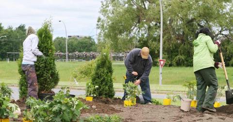 Planting trees on the sidewalk and enhancing the land around them. (Representative Cover Image Source: Getty Images | Bouillante)
