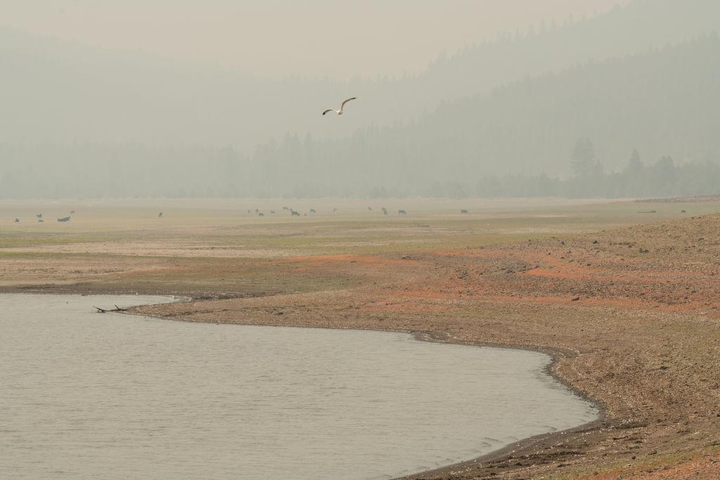 Reservoir affected by drought in Oregon