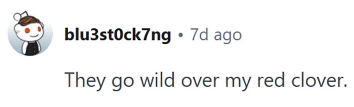 pn/dfcce bda be bbf fed