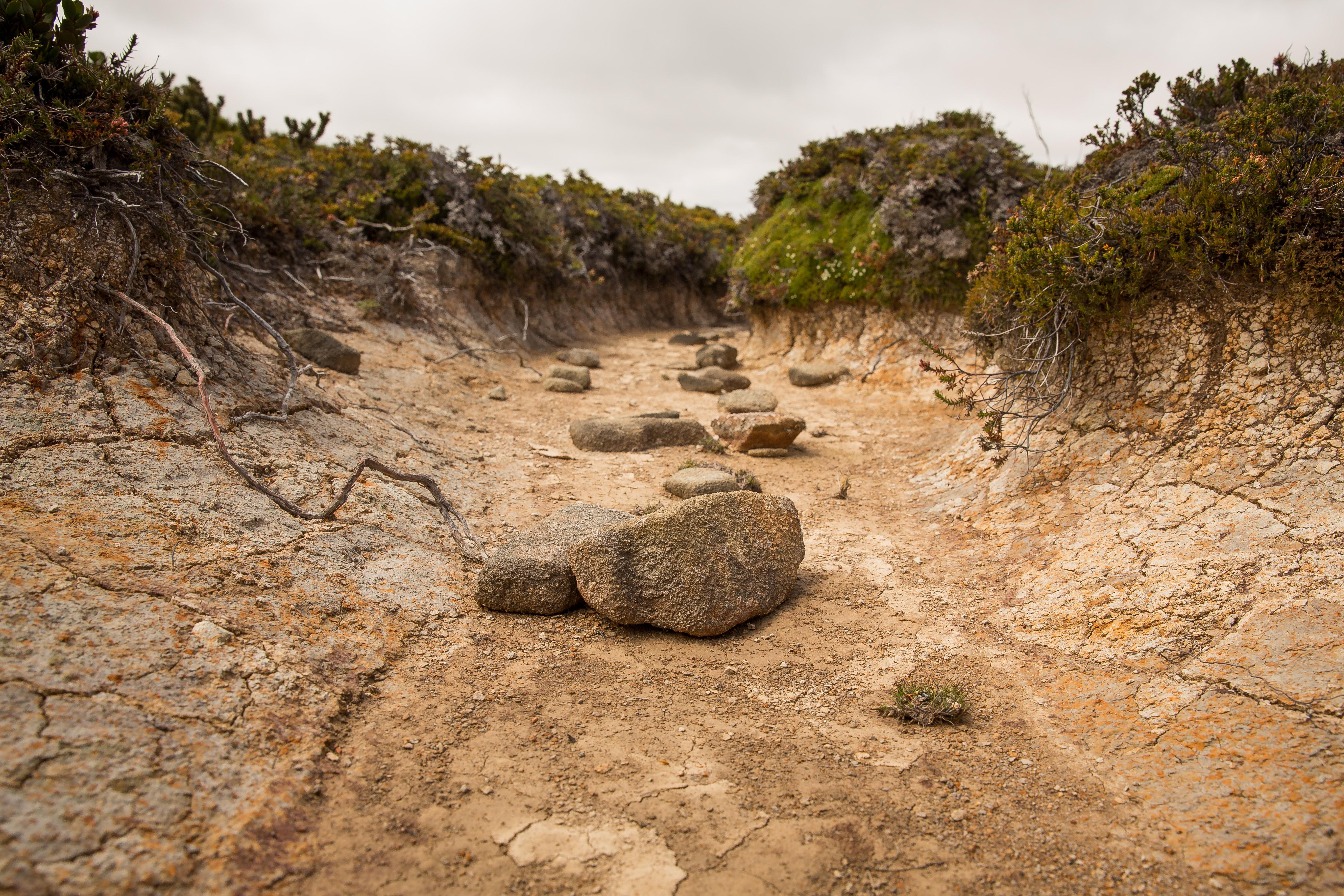 Dry, eroded creek bed