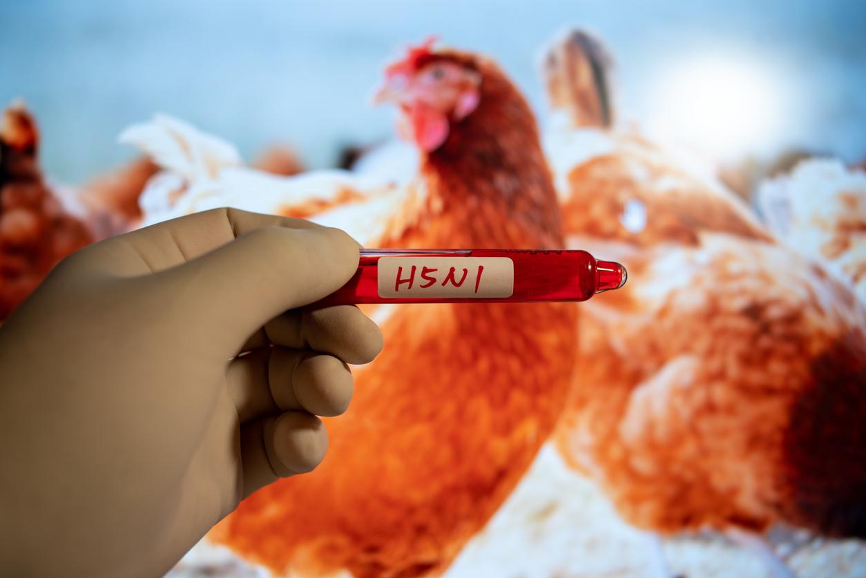 A person wearing a glove holds a blood collection tube labeled "H5N1" aka bird flu.