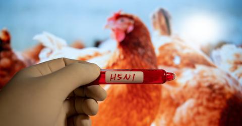 A person wearing a glove holds a blood collection tube labeled "H5N1" aka bird flu.