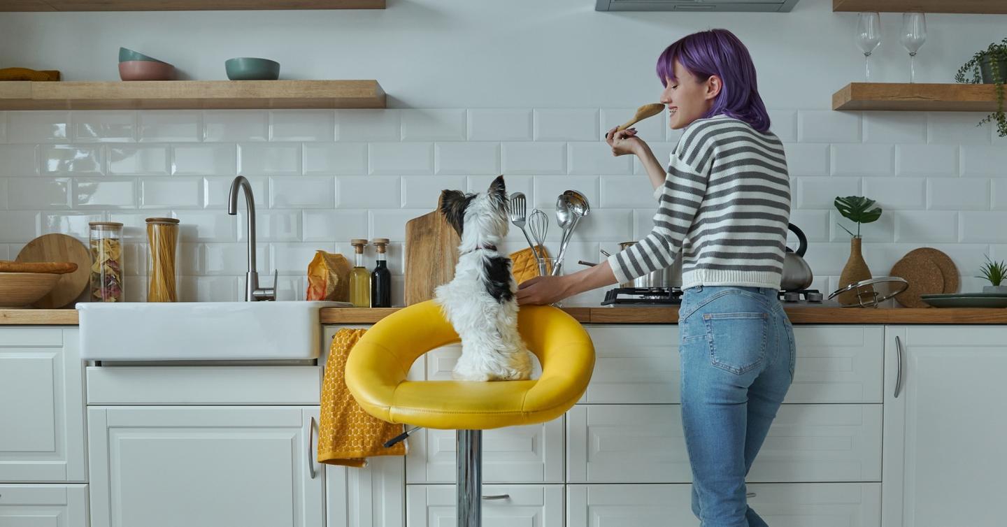 Garbanzo Beans Are Healthy for Dogs When Made Properly