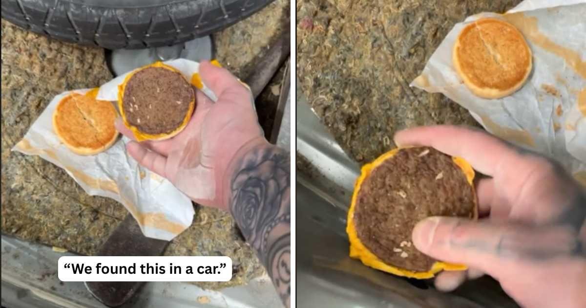 Man finds an old McDonald's burger in a car. (Cover Image Source: TikTok | @whats_the_issue)