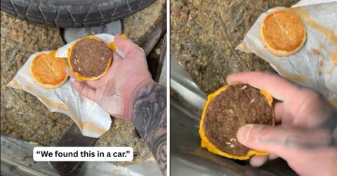 Man finds an old McDonald's burger in a car. (Cover Image Source: TikTok | @whats_the_issue)