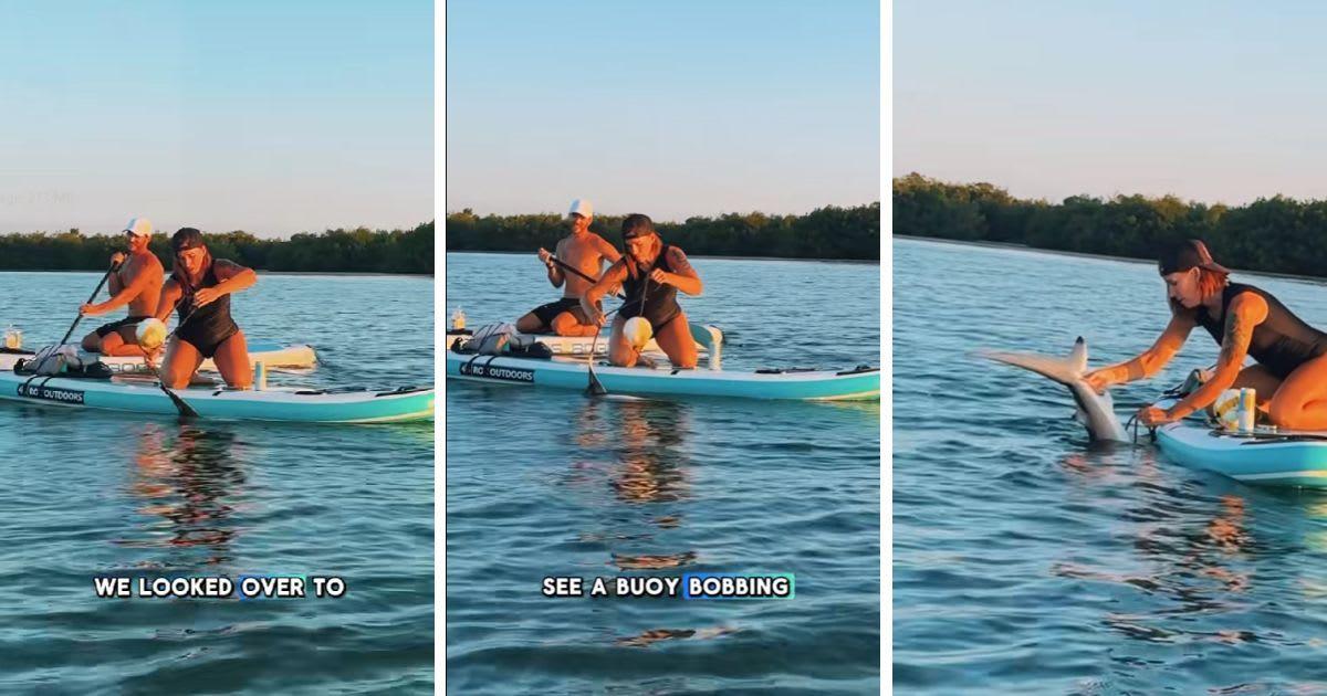 A woman rescues a shark that was caught in a fishing line. (Cover Image Source: TikTok | @dashofadventure)