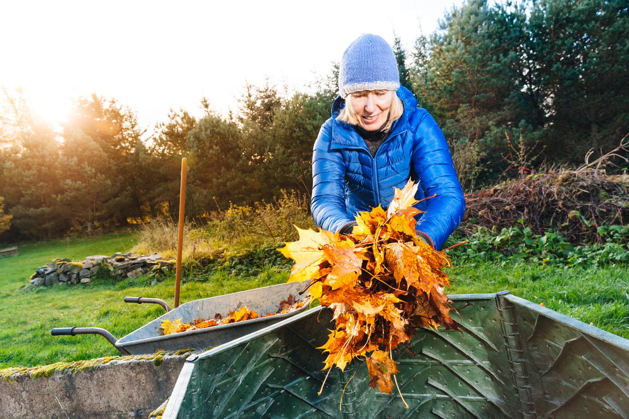 compost not breaking down leaves