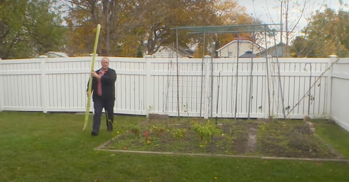 Ontario man carries the world's biggest zucchini. 