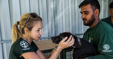 two workers with a rescued dog