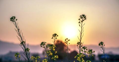 globalclimateactionsummitthumb