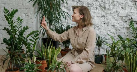 Woman taking a selfie amind potted plants in her home nursery (Representative Cover Image Source: Pexels | Cottonbro Studio)