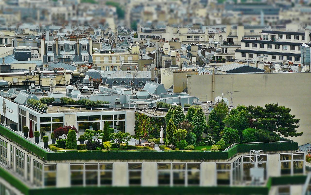 roof terrace _