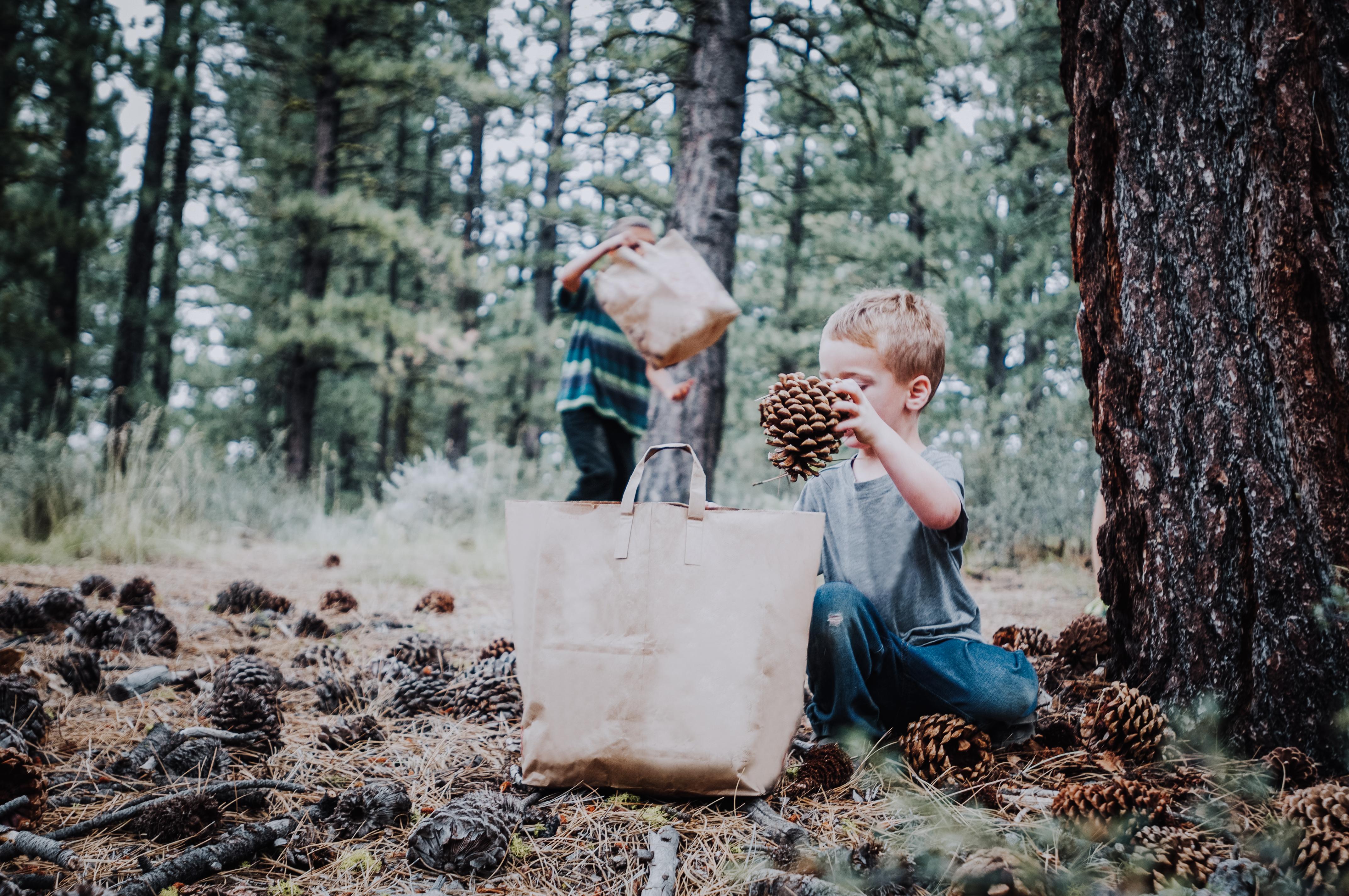 nature scavenger hunt