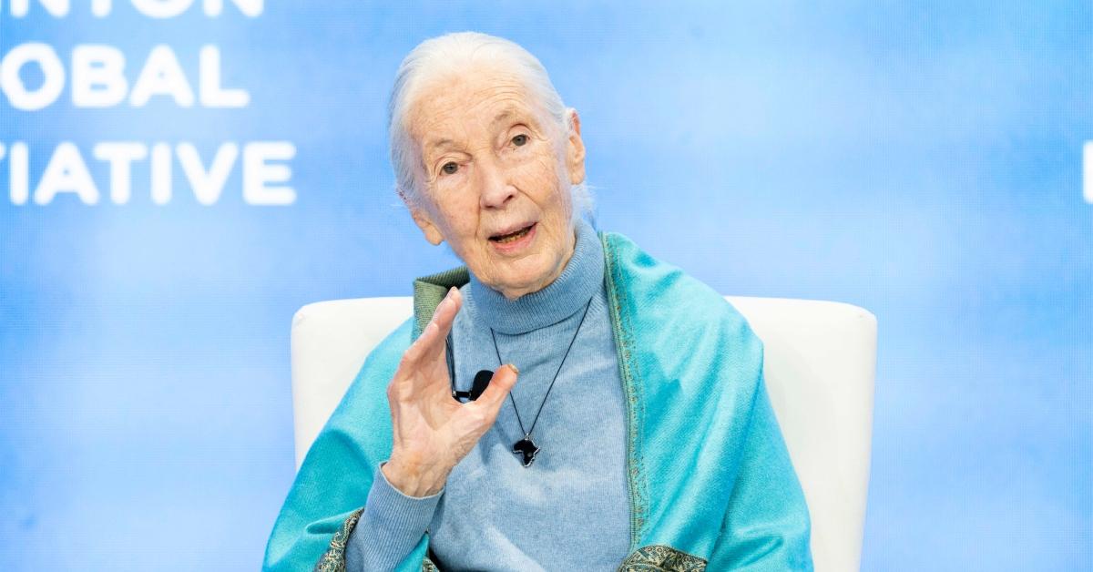 Jane Goodall speaking at an event