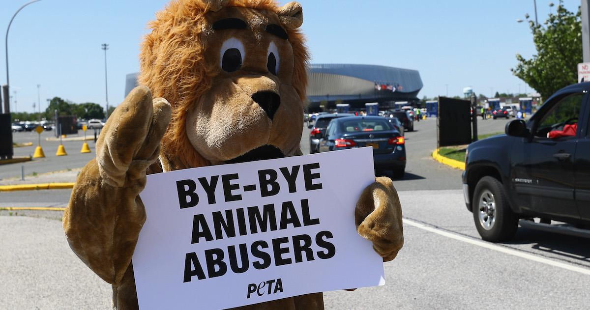 A person in a bear costume holds up a PETA sign that says "bye-bye animal abusers"