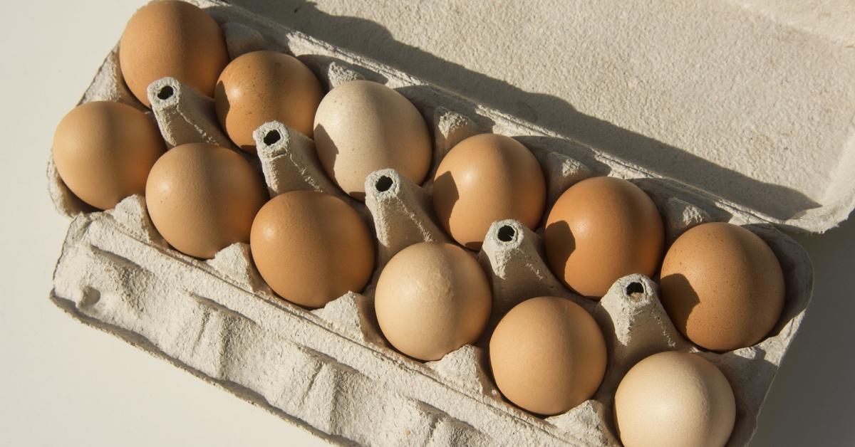 Open carton of brown chicken's eggs on a cream colored background. 