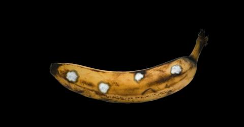 banana with white spots on a black background