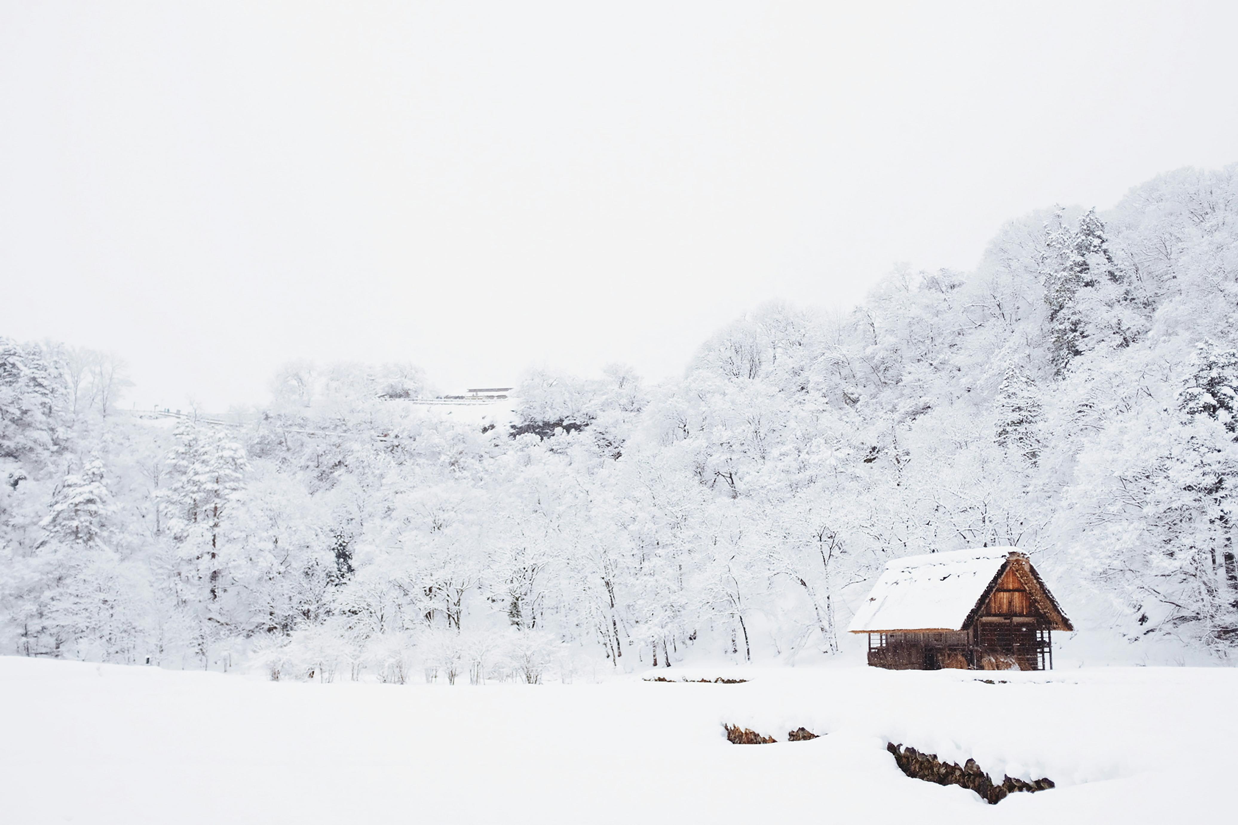 A cabin in Shirakawa, Japan is pictured with snow all around it and a snowy rooftop with snow-topped trees behind the house.