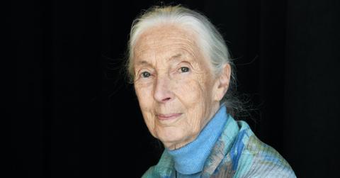 Jane Goodall