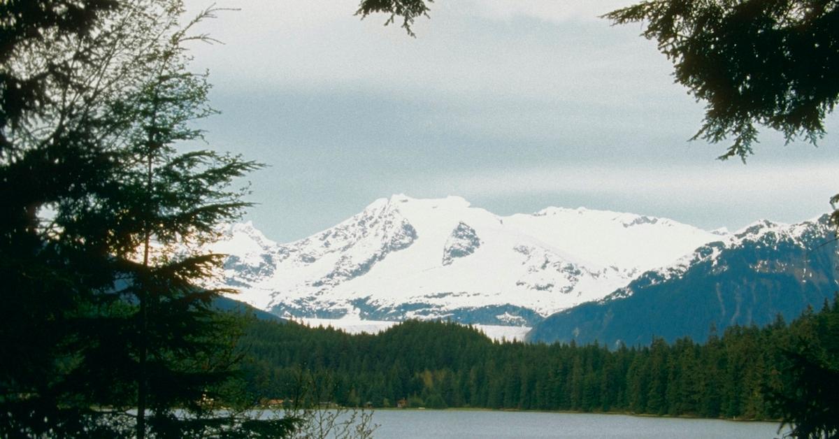 tongass national forest