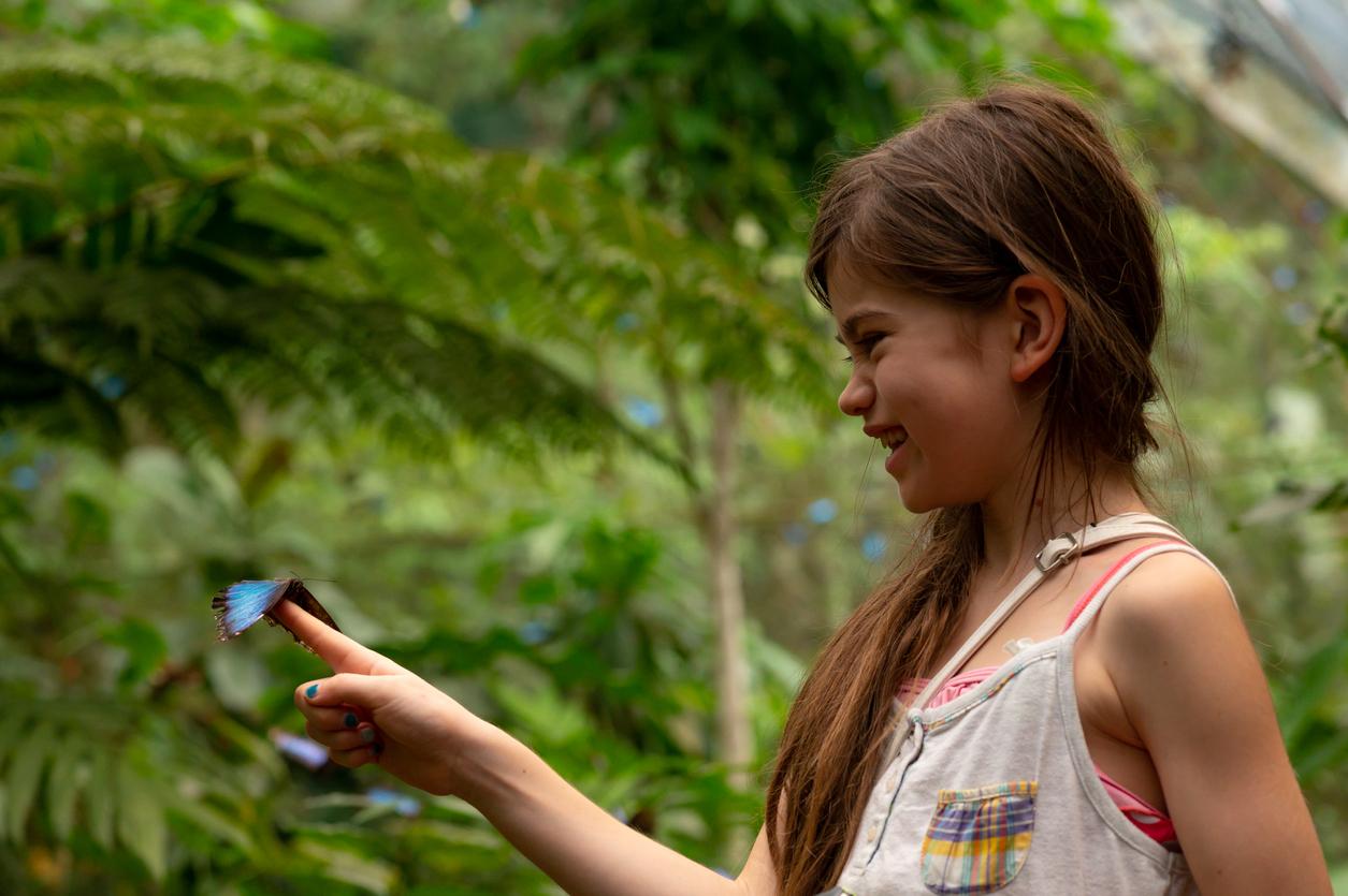 A young girl holds a blue butterfly in Costa Rica.