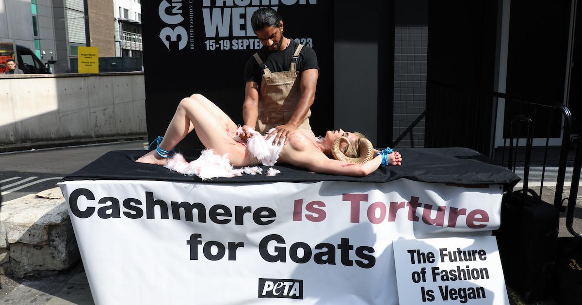 Woman lays on table dressed as a nude goat with a sign "cashmere is torture for goats"