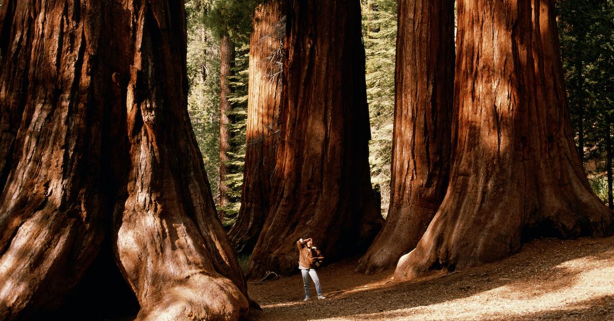 yosemite