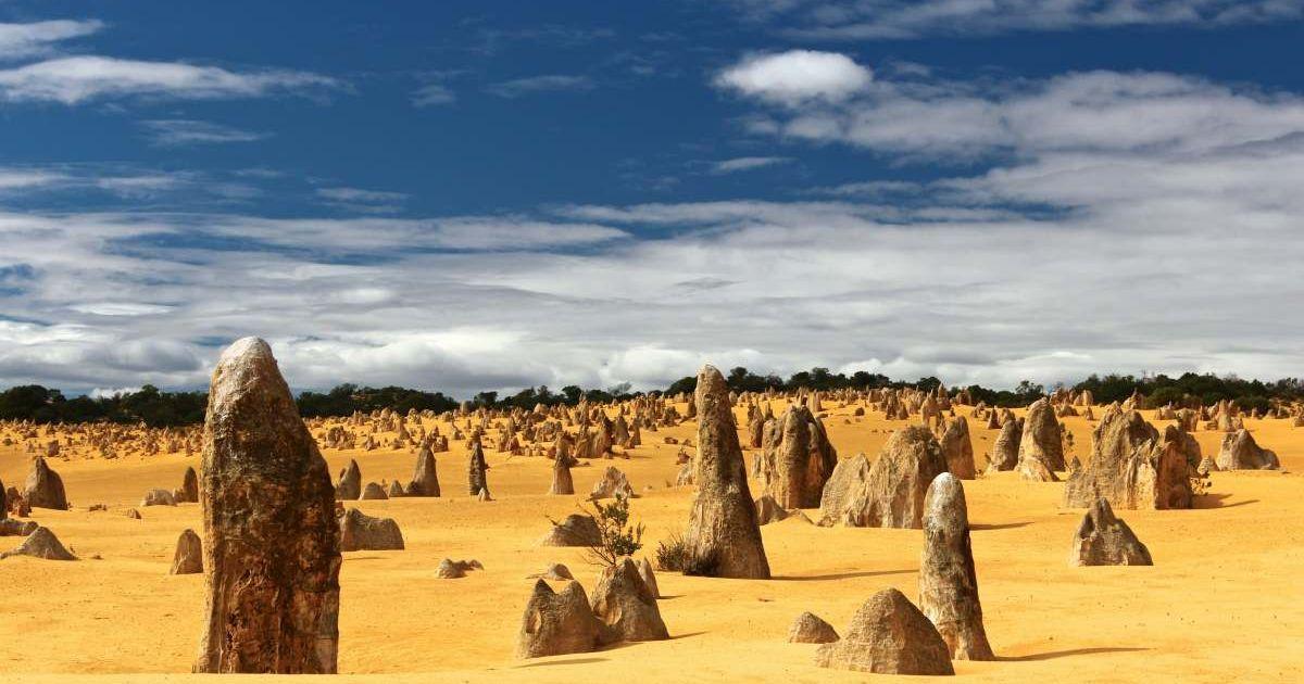 Majestic limestone pillars stick out of the golden sand in Australia's Pinnacles Desert. (Representative Cover Image Source: Unsplash | Tobias Keller)
