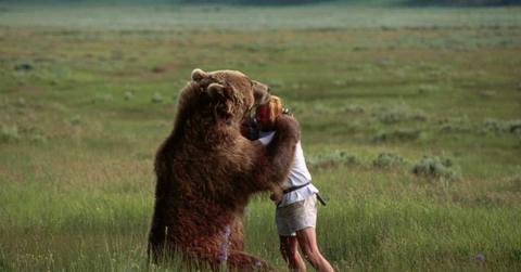 A grizzly bear interacts with a man in a clearing. (Representative Cover Image Source: Getty Images | Galen Rowell)