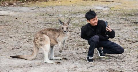 A man taking a selfie with a kangaroo (Representative Cover Image Source: Getty Images | Wirestock)
