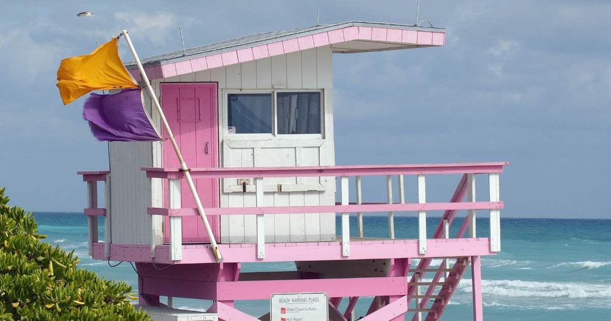 Yellow and purple flags at a beach (Representative Cover Image Source: Getty Images | tirc83)