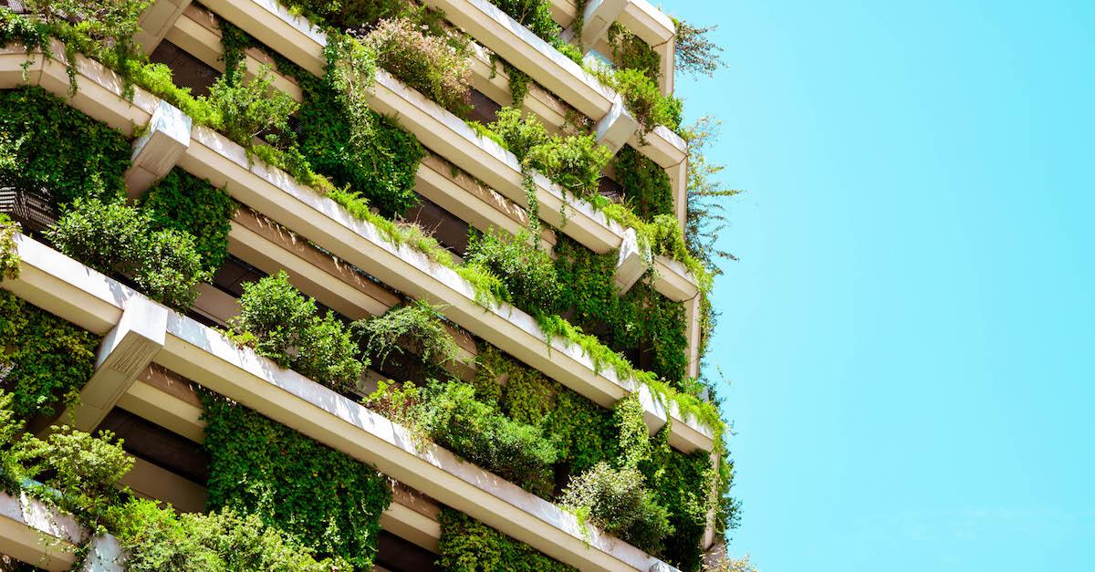 Plants grow off the side of a modern building