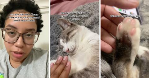 Screenshots from TikTok video of woman checking cat paws for race.