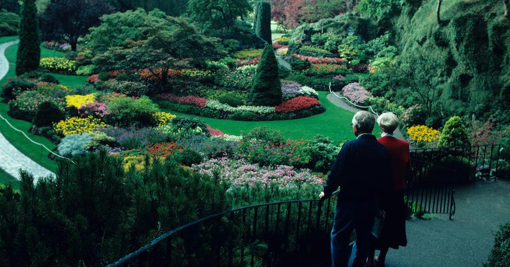 Urban Rewilding Examples What Is Urban Rewilding? Making Cities Greener Increases Biodiversity