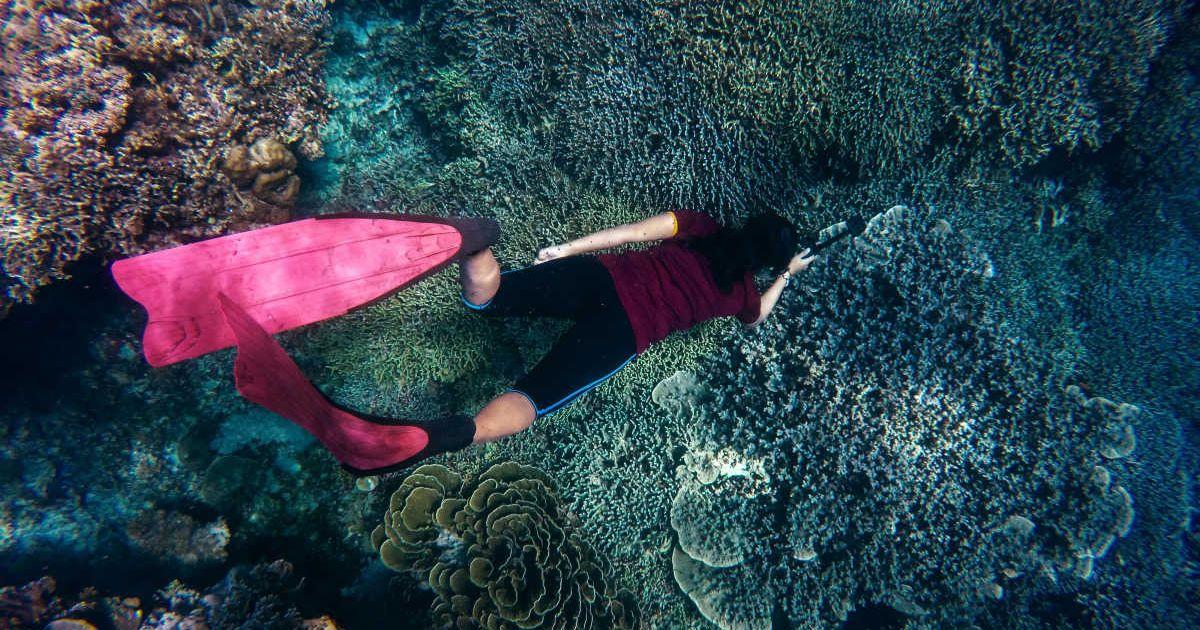 A diver exploring the corals underwater. (Representative Cover Image Source: Pexels | John Cahil Rom)