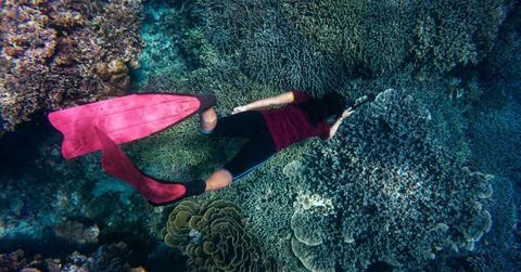 A diver exploring the corals underwater. (Representative Cover Image Source: Pexels | John Cahil Rom)