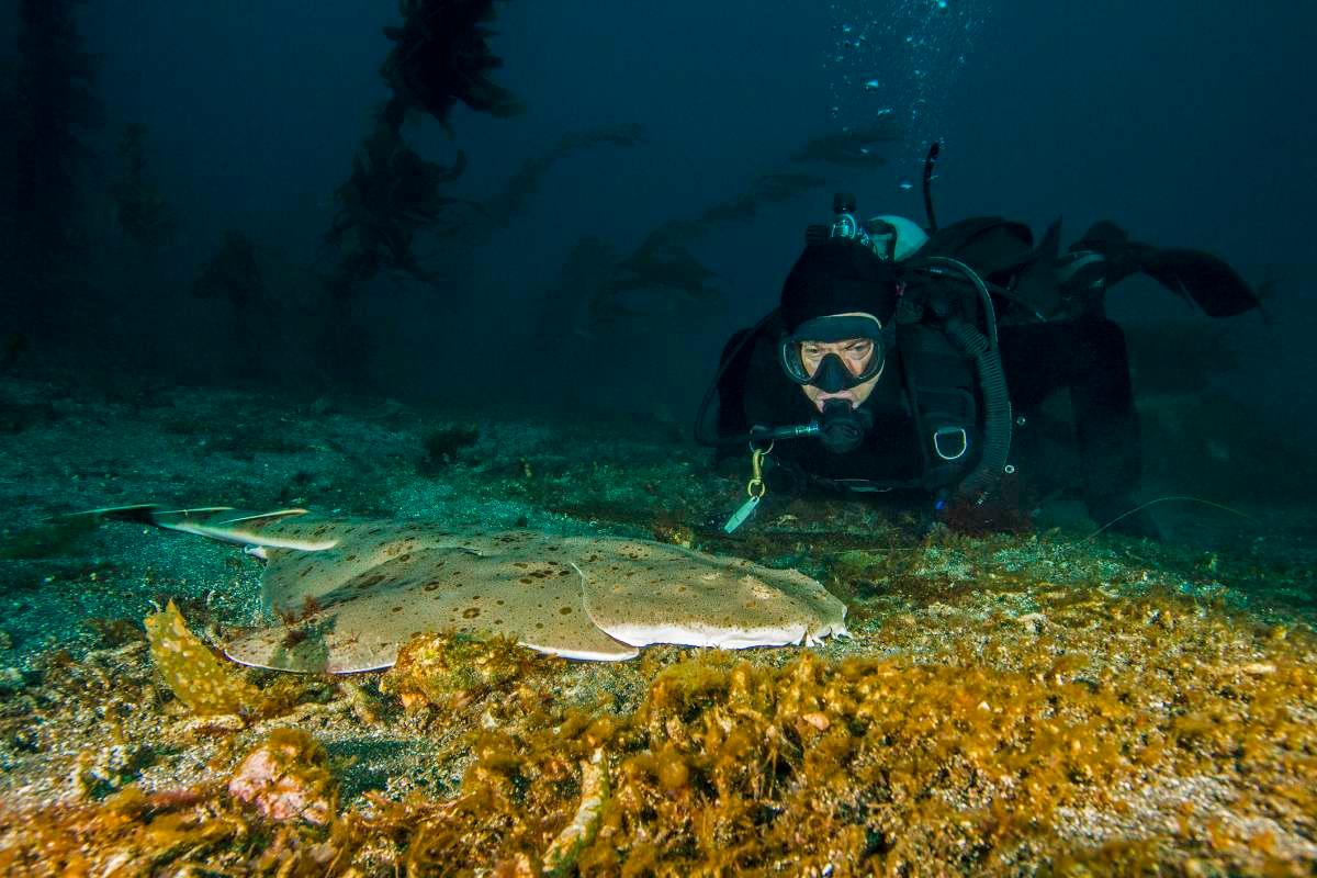 pn/fc eb fae c ccccea