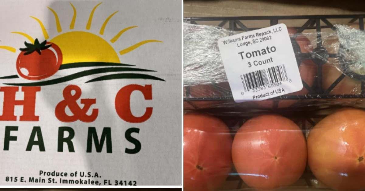 FDA issues a product recall on tomato products (Representative Cover Image Source: US Food and Drug Administration via X | @DieticianOnline)
