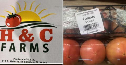FDA issues a product recall on tomato products (Representative Cover Image Source: US Food and Drug Administration via X | @DieticianOnline)