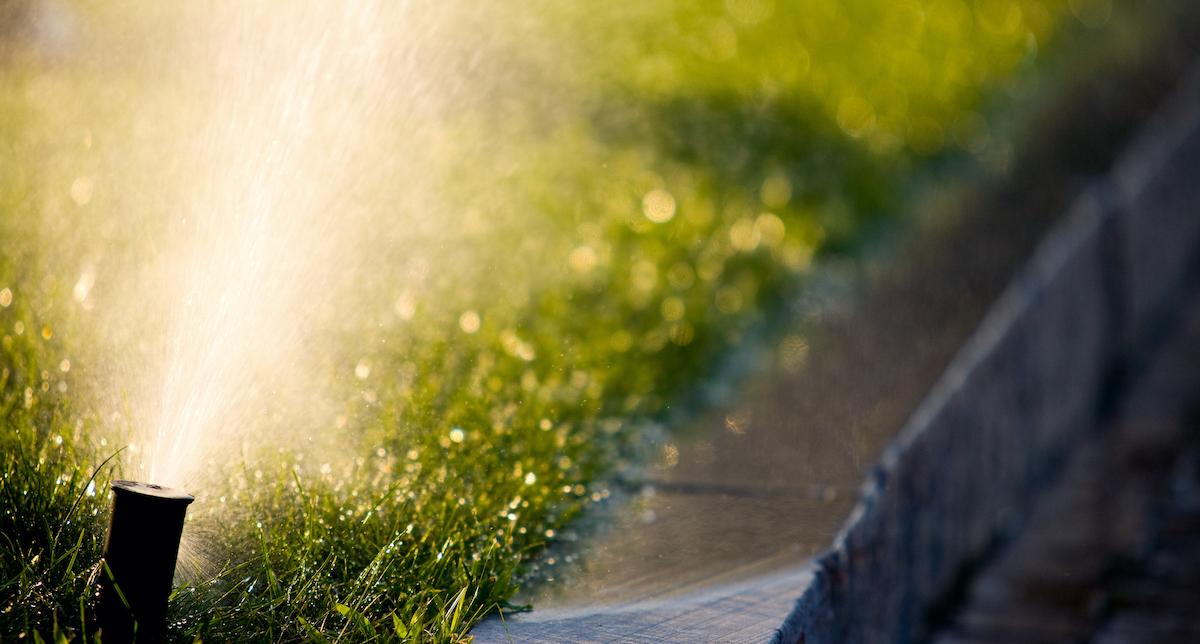 Lawn Sprinkler