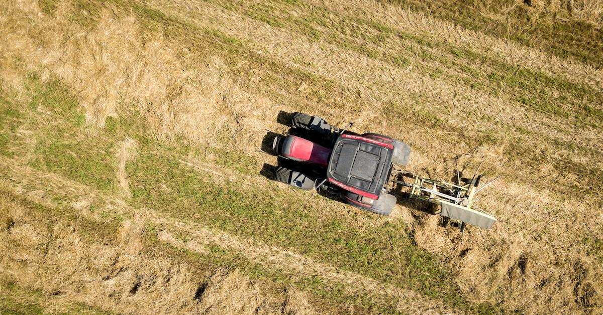 What Foods Are Not Sustainable?