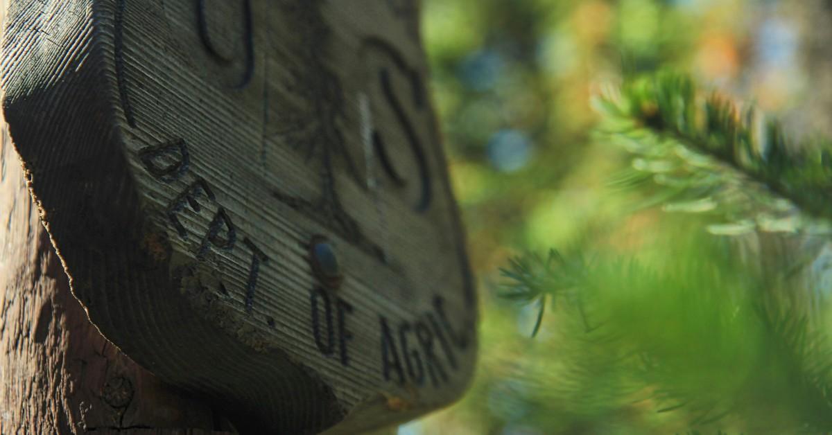 A closeup of a wood sign featuring the U.S. Department of Agriculture logo