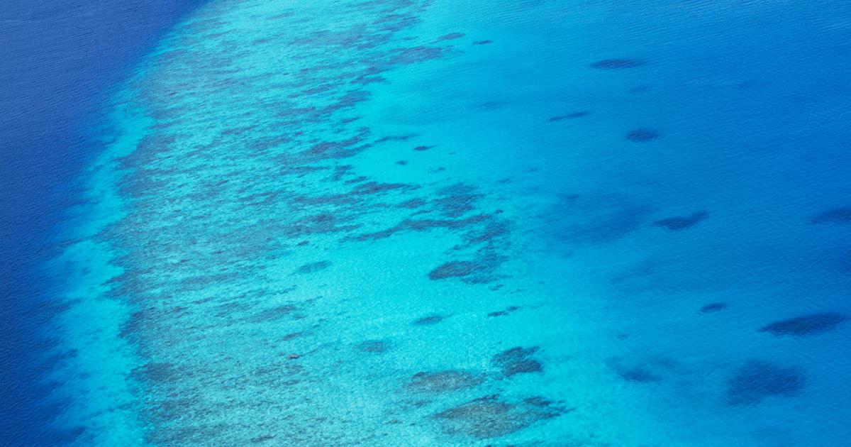 Photograph of a coral reef from space.