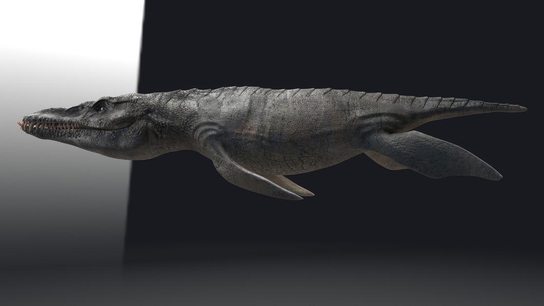 A 3D rendering of a pliosaur, a prehistoric marine animal. 