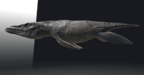 A 3D rendering of a pliosaur, a prehistoric marine animal.