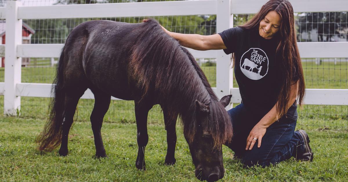 The Gentle Barn New York Horse